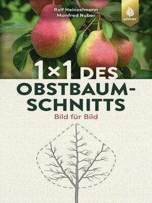 cover image of 1 x 1 des Obstbaumschnitts